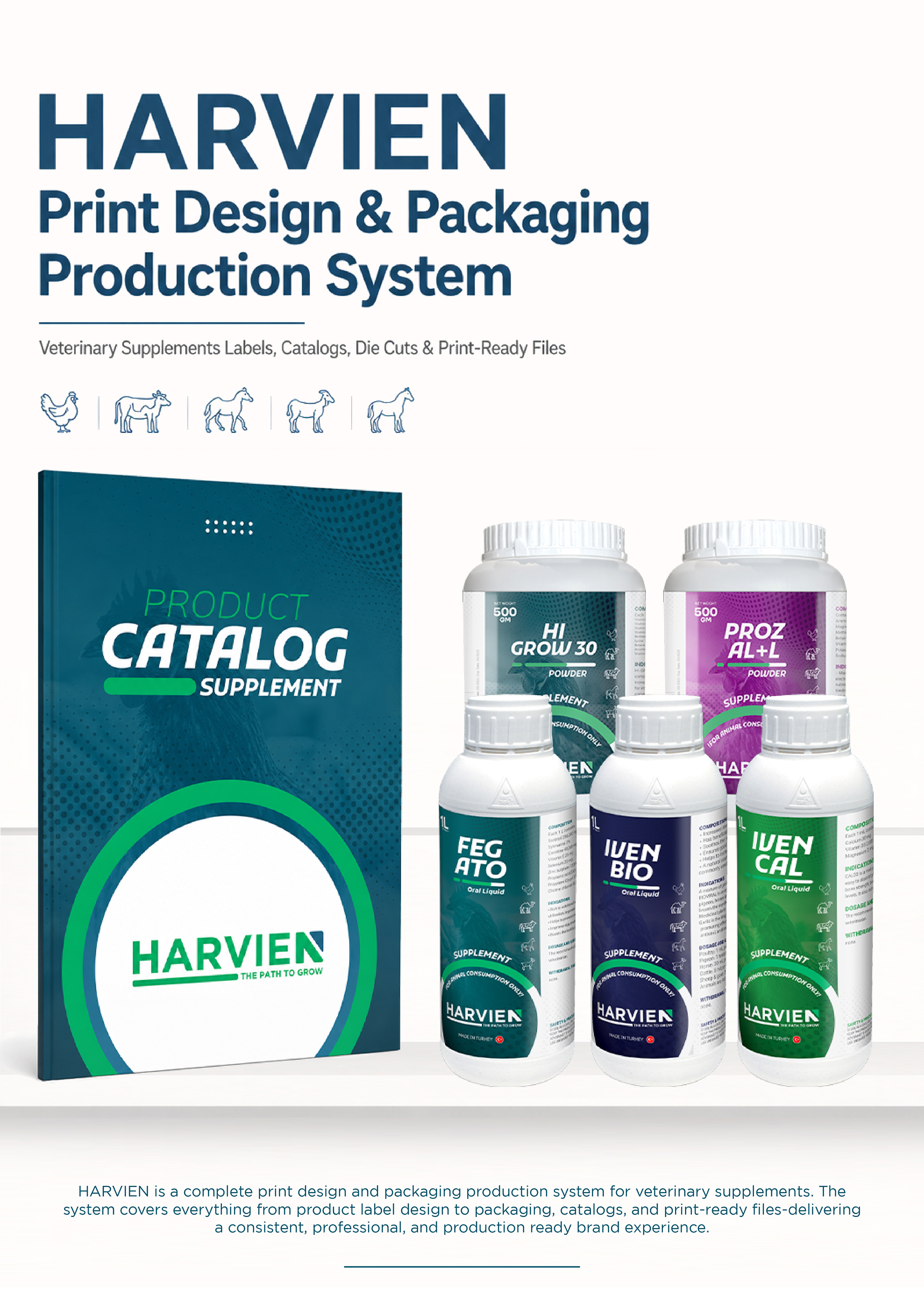 Omar Helal print design system project - HARVIEN Print Design gallery image 1