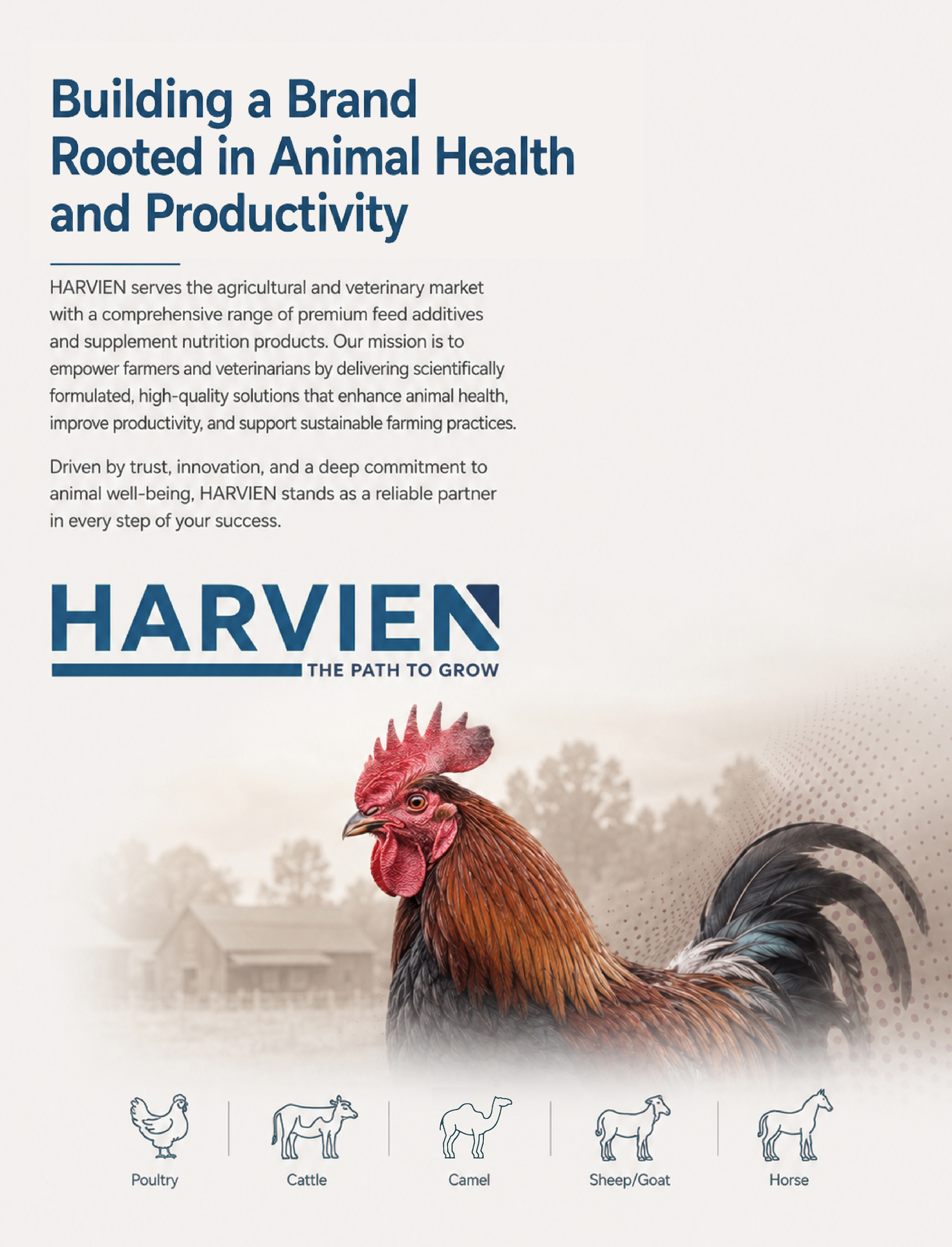 Omar Helal print design system project - HARVIEN Print Design gallery image 3