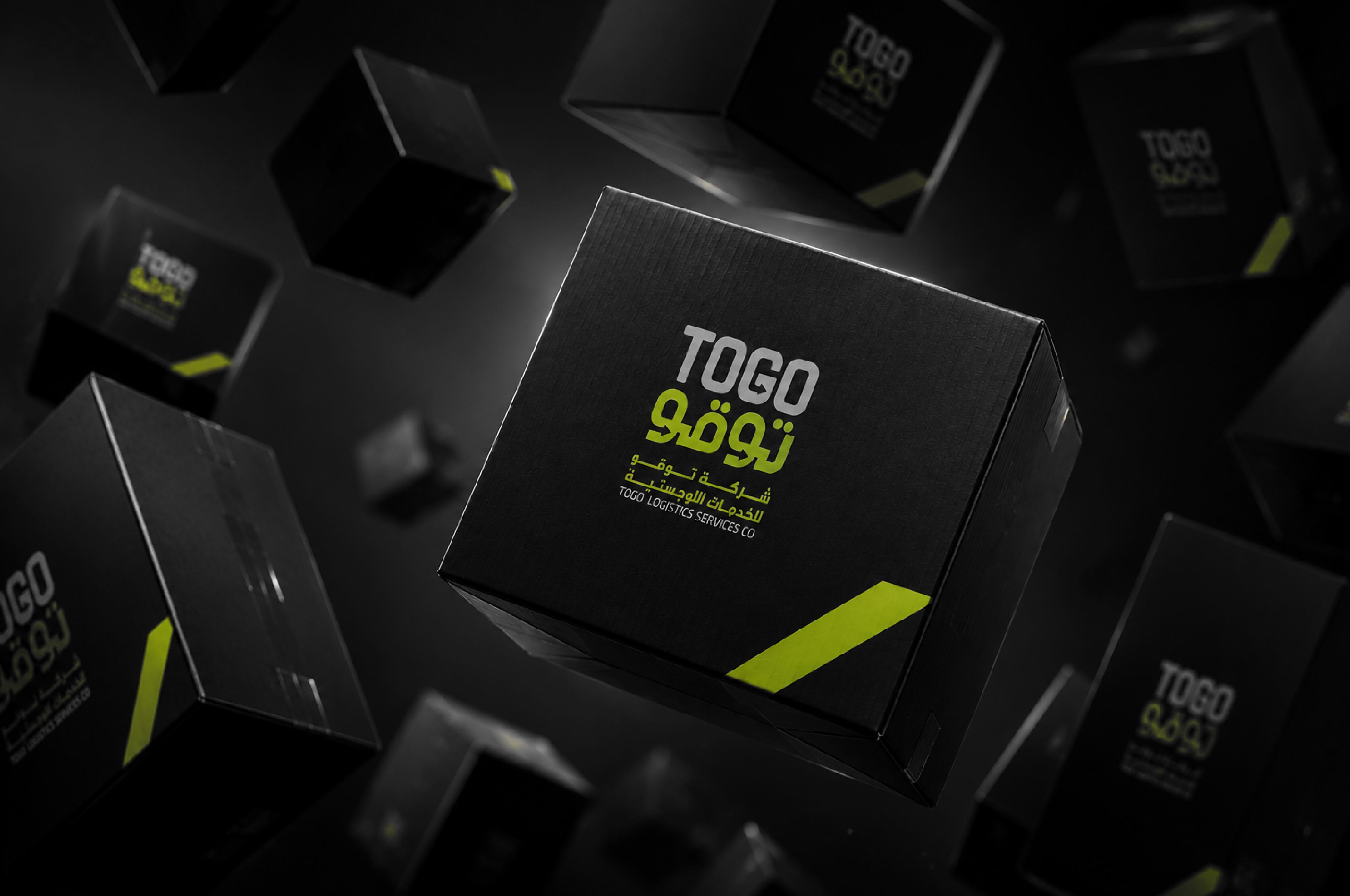 TOGO Logistics Branding thumbnail